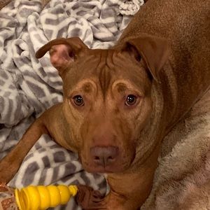 Meet your Posher, Christopher